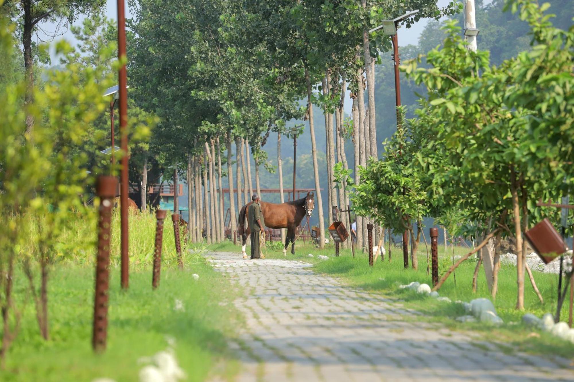 Riverside By Aahma Hotel Garjia Exterior photo